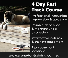 Read more about our 4 Day Fast Track Course