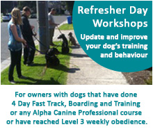 Refresher Day Workshops