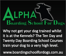 Boarding School for Dogs Boarding School for Dogs