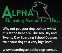 Boarding School for Dogs Boarding School for Dogs