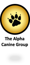 The Alpha Canine Group - offering a complete selection of canine training services