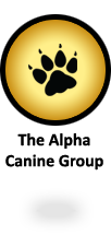 The Alpha Canine Group - offering a complete selection of canine training services The Alpha Canine Group - offering a complete selection of canine training services