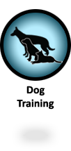 Alpha Dog Training - for weekly lifestyle dog obedience classes Alpha Dog Training - for weekly lifestyle dog obedience classes