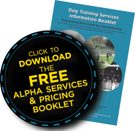 Download our FREE information booklet on all of Alpha's services Download our FREE information booklet on all of Alpha's services