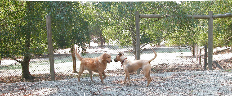Alpha Boarding Kennels Alpha Boarding Kennels