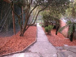 Alpha Boarding Kennels