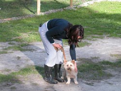 Alpha Boarding Kennels