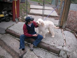 Alpha Boarding Kennels