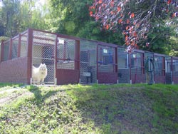 Alpha Boarding Kennels Alpha Boarding Kennels